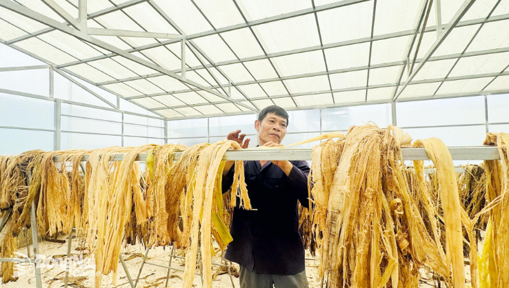 Nâng tầm trái cây Việt
